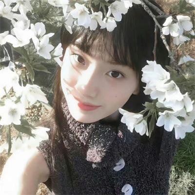 哎咕岛消失的舔甜歌姬